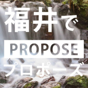 福井のプロポーズスポット5選と福井で人気の婚約指輪・プロポーズリング ￥79,800