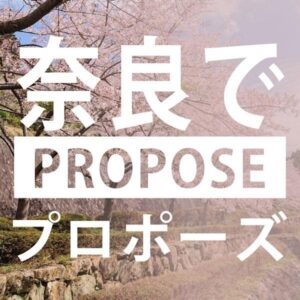 奈良のプロポーズスポット10選と人気の婚約指輪・プロポーズリング￥79,800