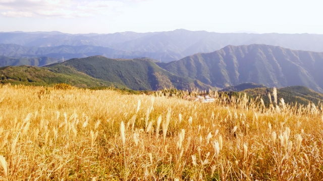 和歌山県内で人気のフォトウェディングスポットの生石高原