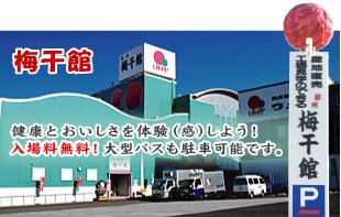 garden和歌山がおすすめする!夏の和歌山デートプランをご紹介!