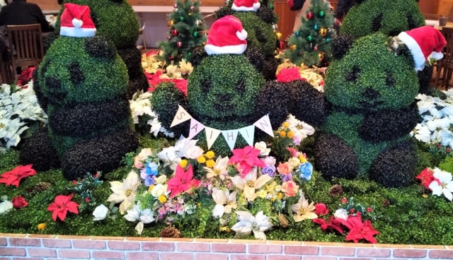 和歌山で叶える特別なクリスマスデート｜夜景・イルミネーション・プロポーズにおすすめの場所